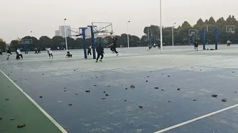 篮球训练计划全集图片_0